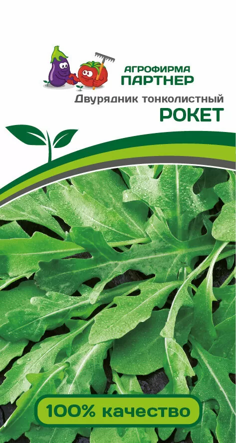 Дикая Итальянка (двурядник тонколистный)