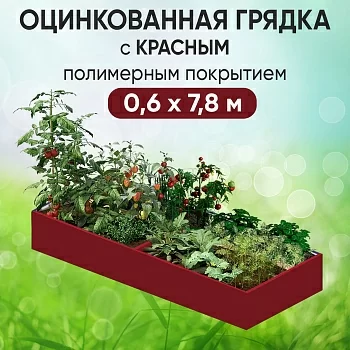 Грядка красная (0,6 х 7,8)