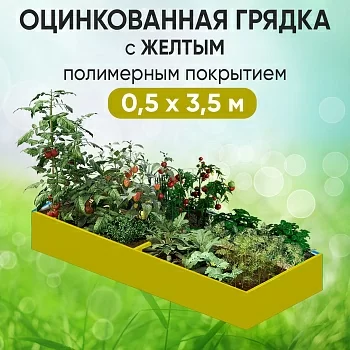 Грядка желтая (0,5 х 3,5)