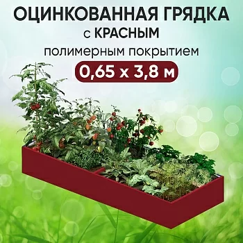 Грядка красная (0,65 х 3,8)