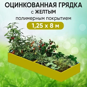Грядка желтая (1,25 х 8)