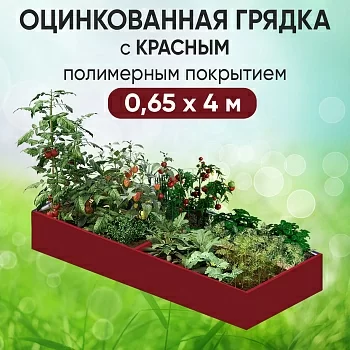 Грядка красная (0,65 х 4)